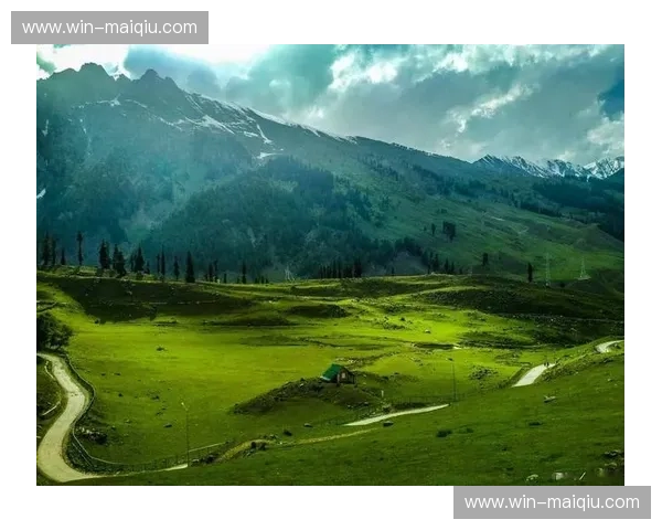 壮丽新疆，豪情内蒙：一场关于北疆与西域的对话